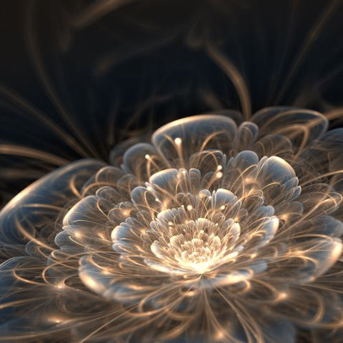 Image of Galaxy flower