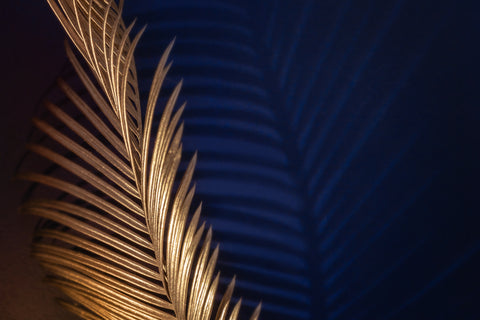 Image of Golden Palm